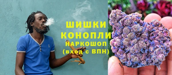 Альфа ПВП Осинники