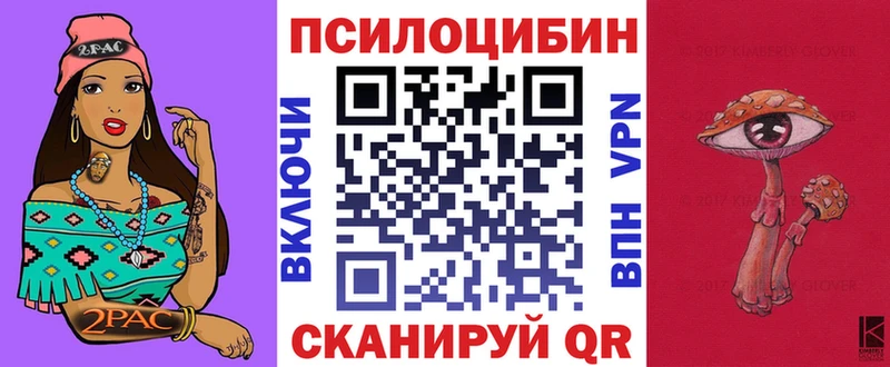 Галлюциногенные грибы Magic Shrooms  Петровск 