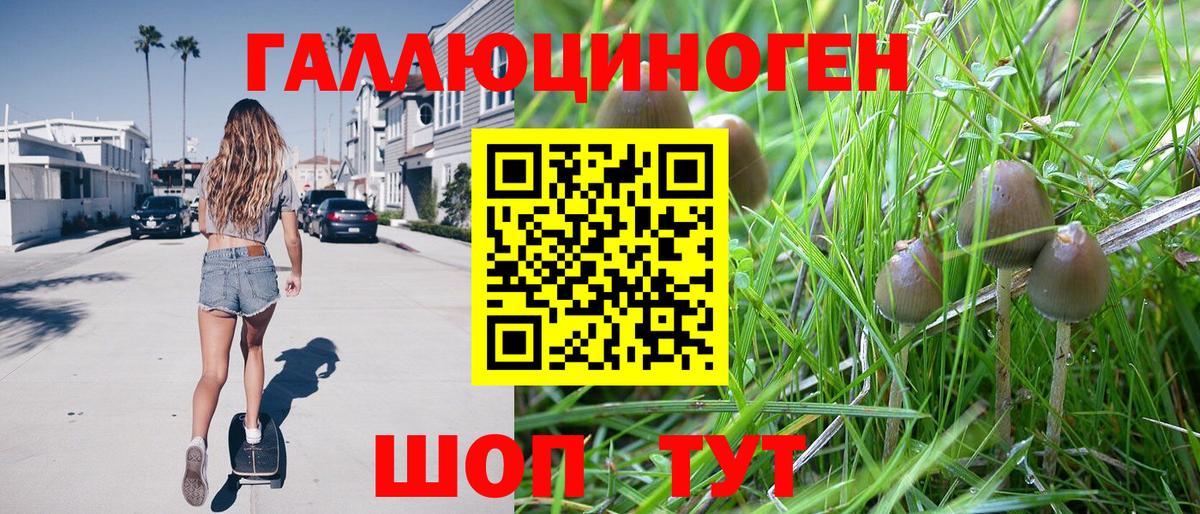 МДМА  МЕТ  МАРИХУАНА  Alpha PVP СОЛЬ кристаллы  МЕФ кристаллы  Петровск  Гашиш  Гашиш 