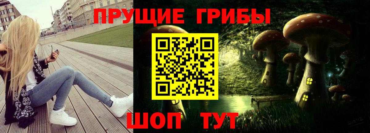 купить закладку  Галлюциногенные грибы прущие грибы  Вход с VPN  Петровск  Галлюциногенные грибы Cubensis 